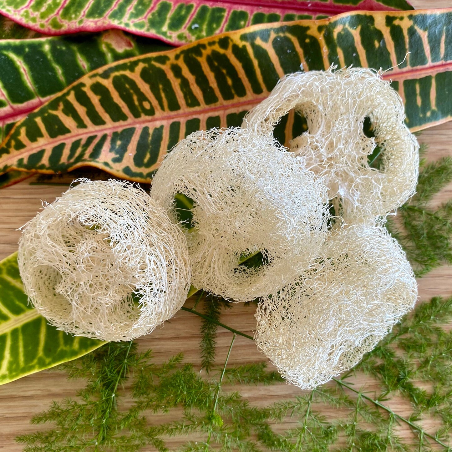 Loofa Slice Soap Lifter, Shampoo Bar Lift, Compostable Soap Saver Pad