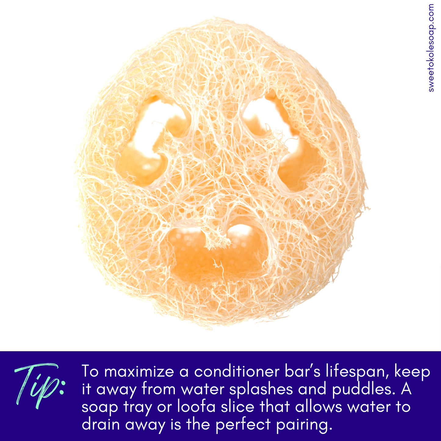 rosemary mint conditioner bar tip