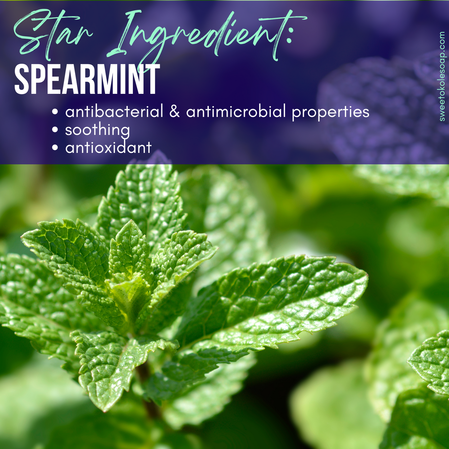 spearmint remineralizing tooth powder